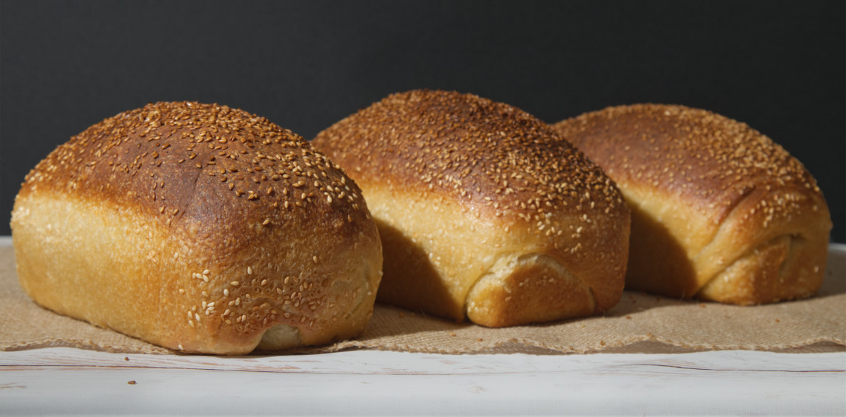 Here's some slow risen sicilian loaves
