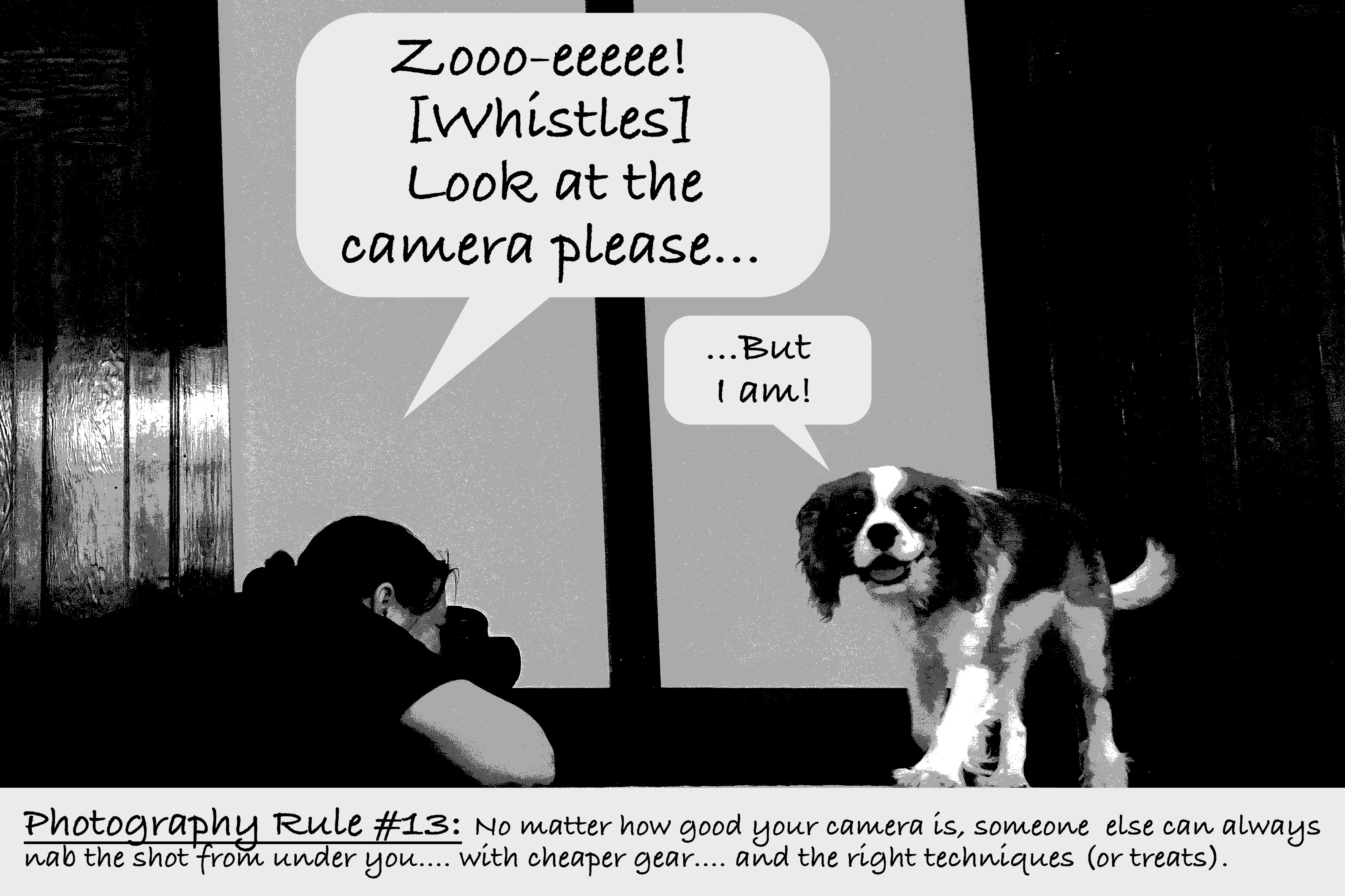 Photography cartoon/lesson with a puppy as an example